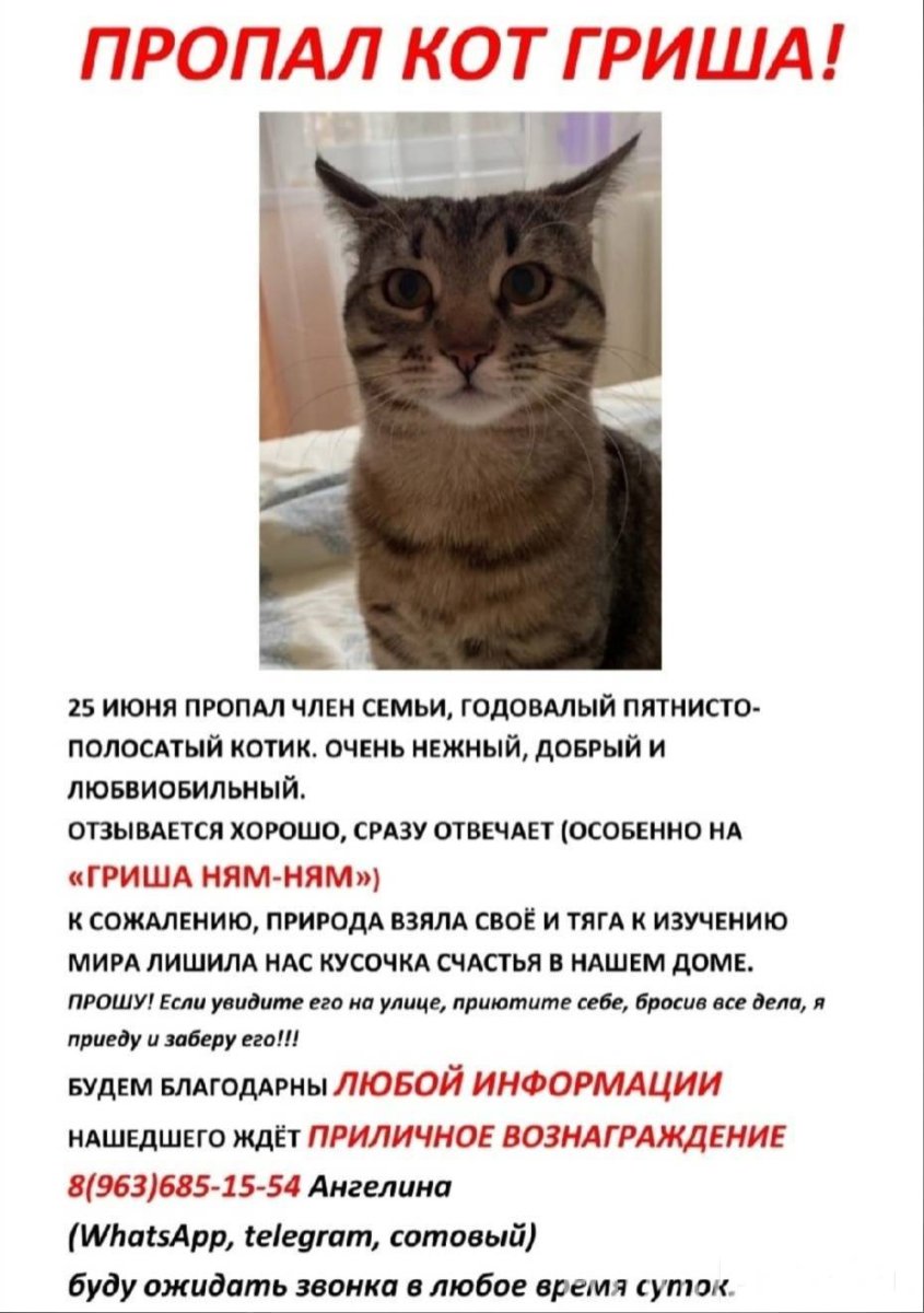 Кошачьи мяуканья