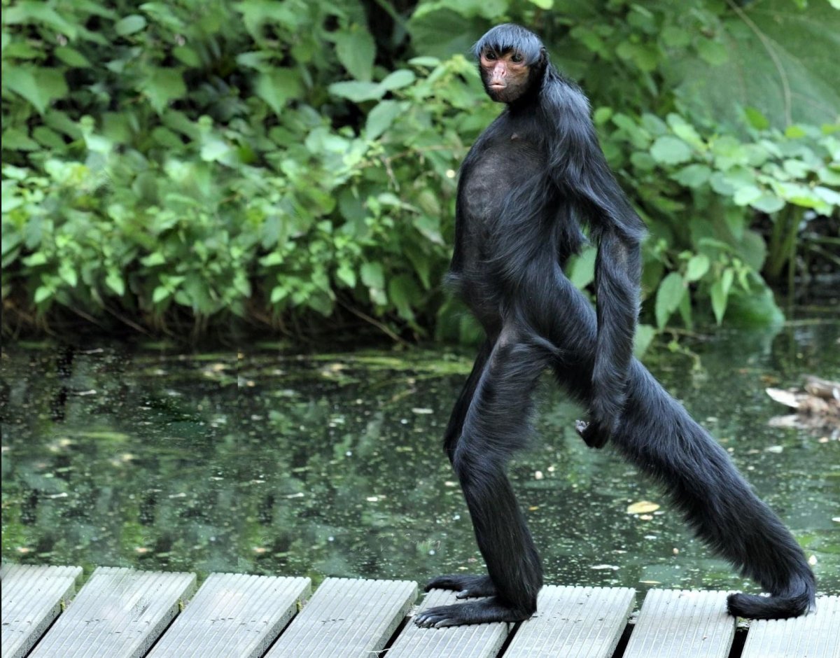 Фотограф сет Кастил