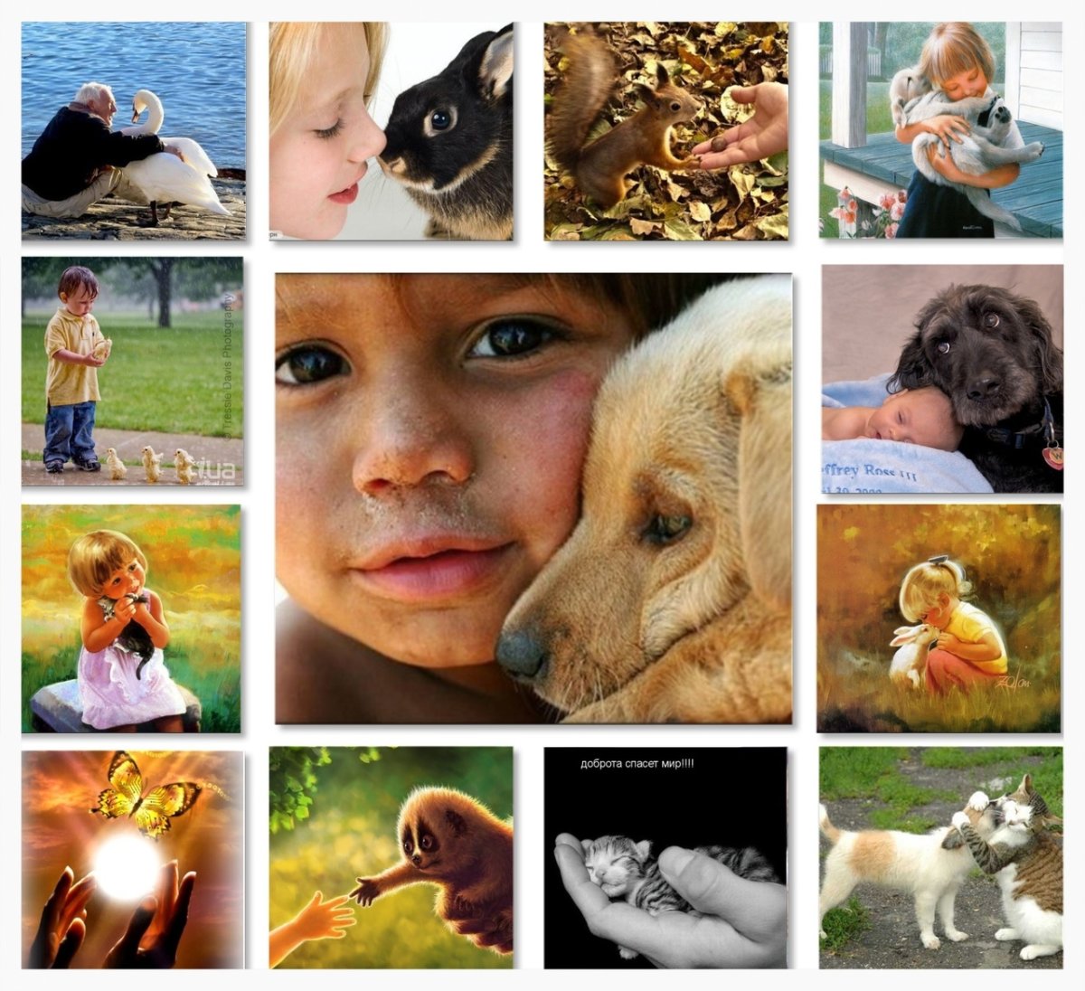 Животное с множеством глаз