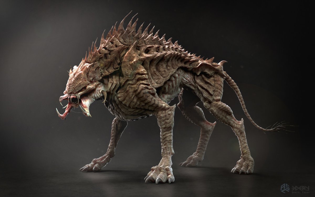 Афганская борзая овчарка