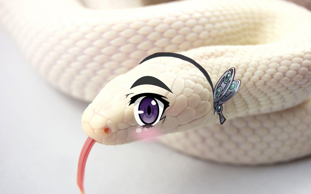 Змея с ушами