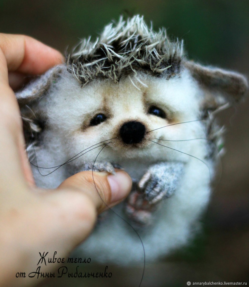 Лосенок и Олененок