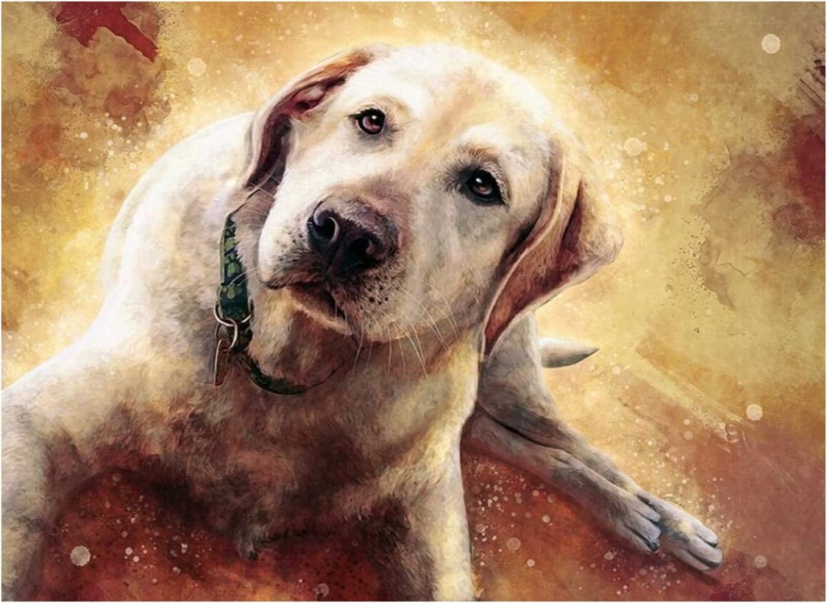 Лабрадоры с купированными хвостами