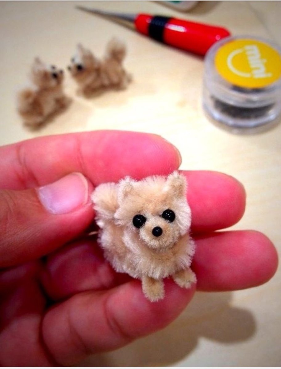 Эстетика собак