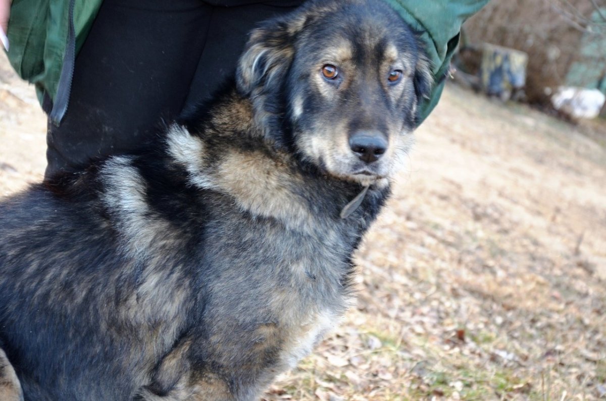 Возраст Анастасии Корнеевой