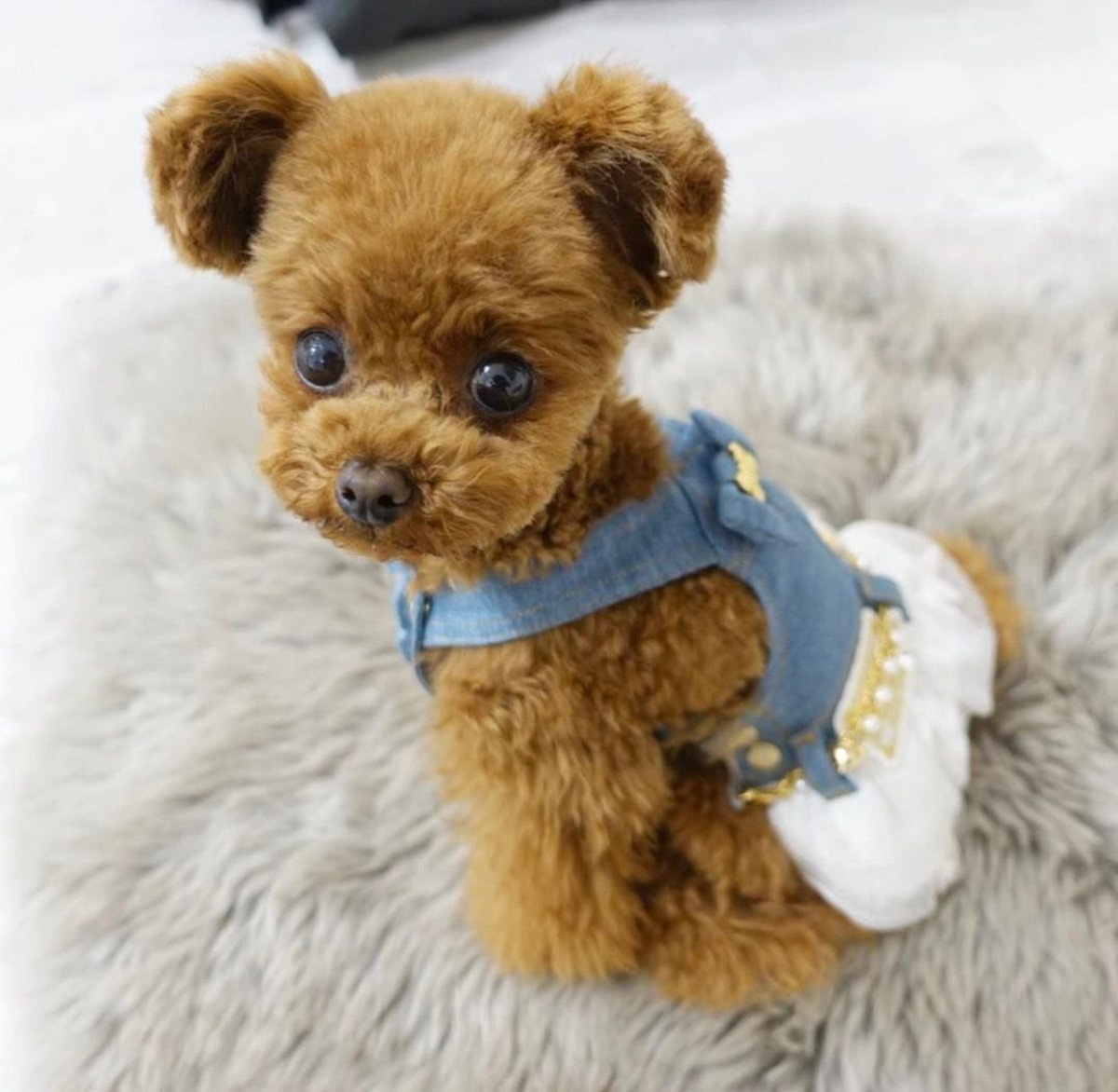 Самые милые