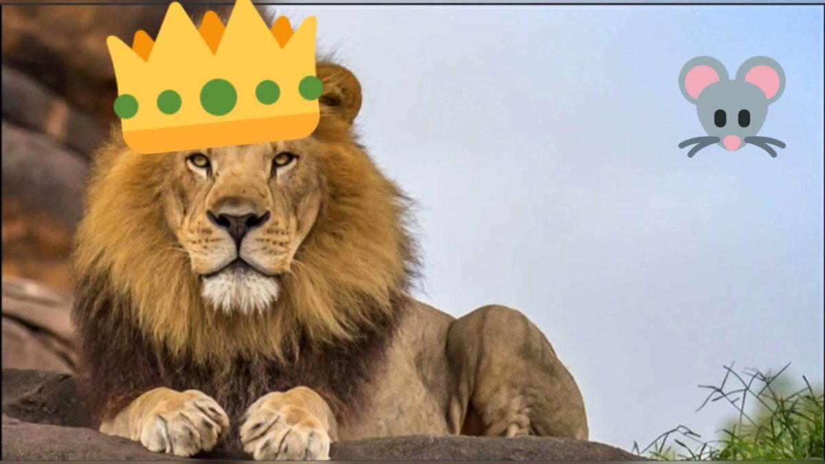 Азиатский Лев на английском