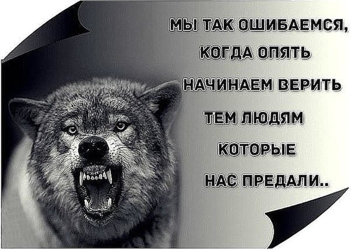 Грустный волк