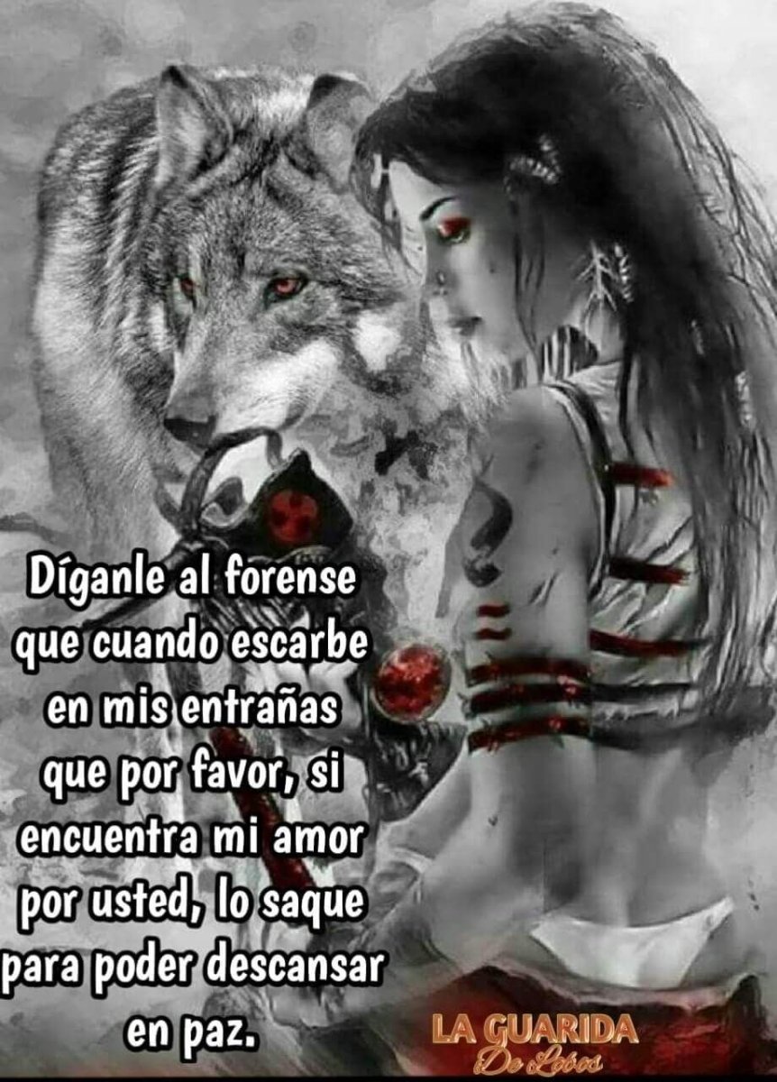 Гибрид алабая и волка