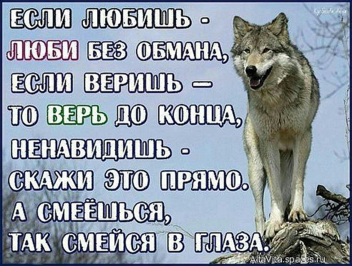 Документальный про Волков