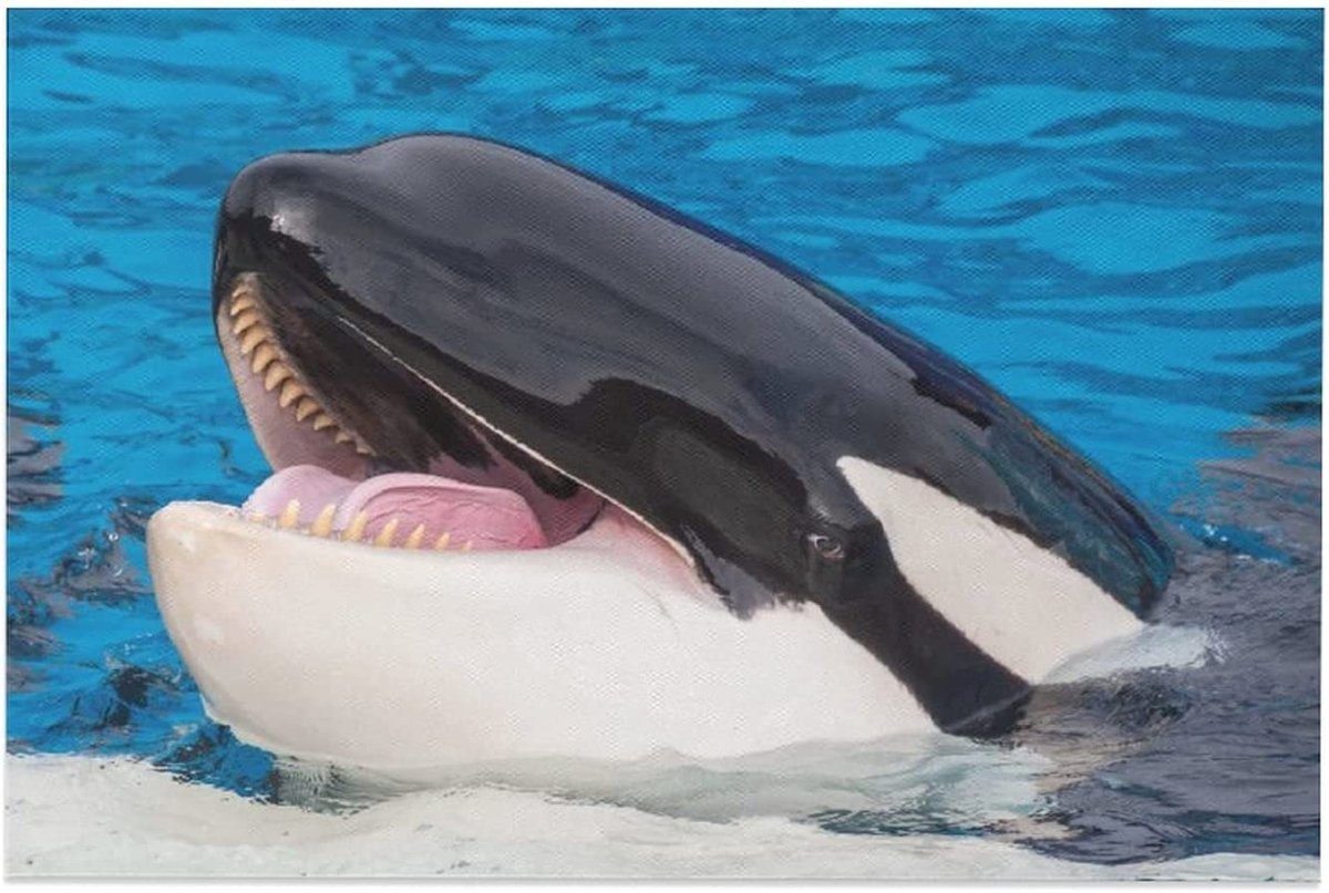 Дельфин Афалина с детенышем