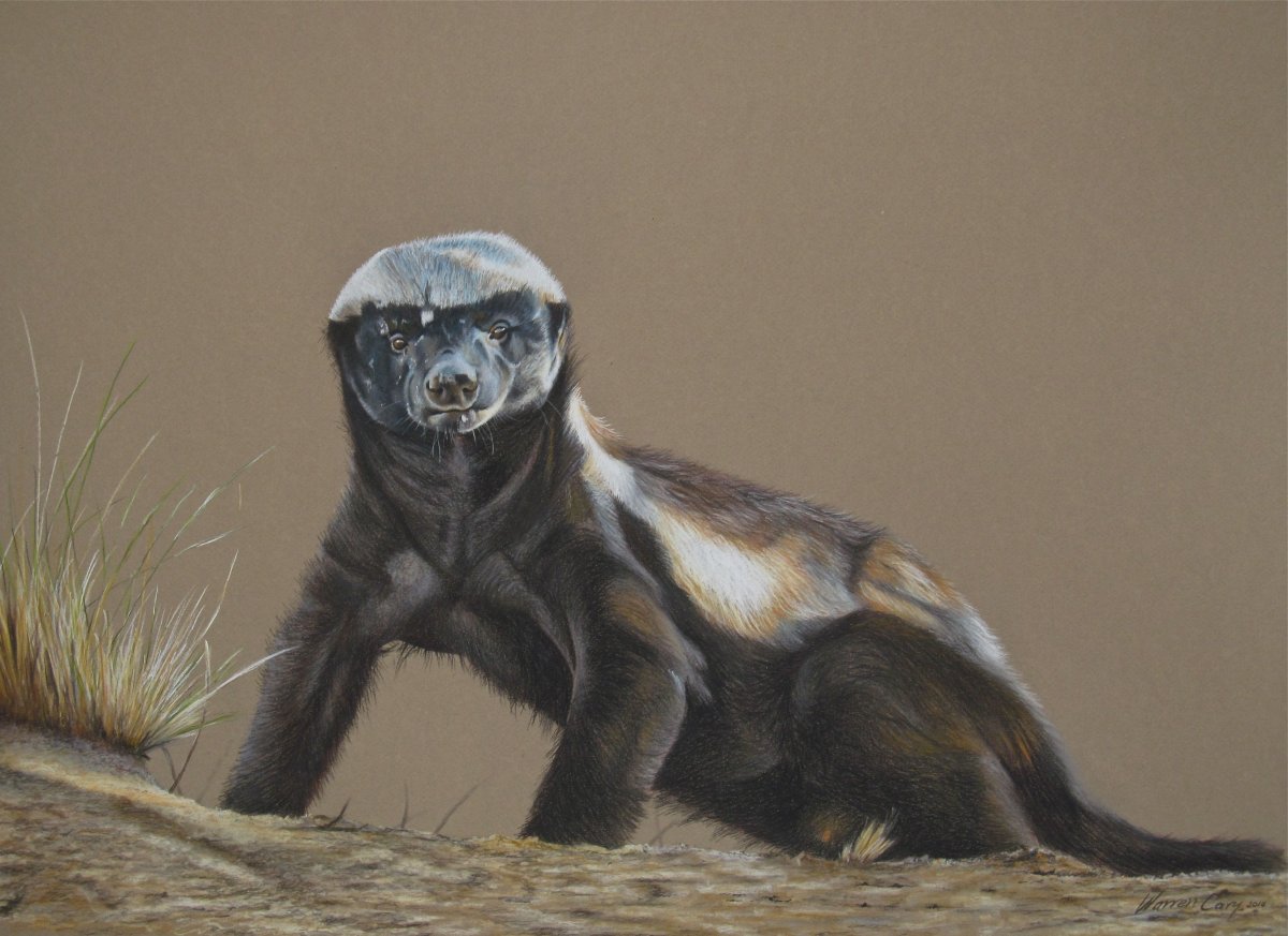 Хищники животные на охоте