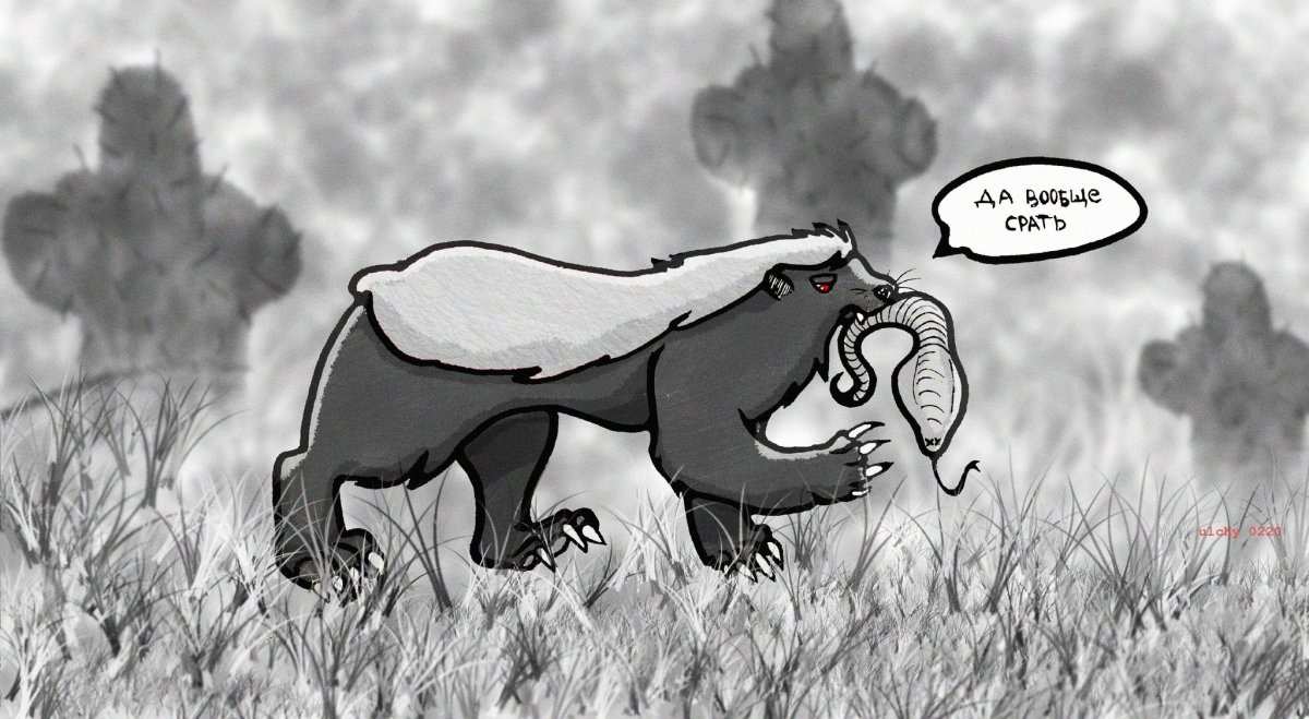 Берсерк медоед