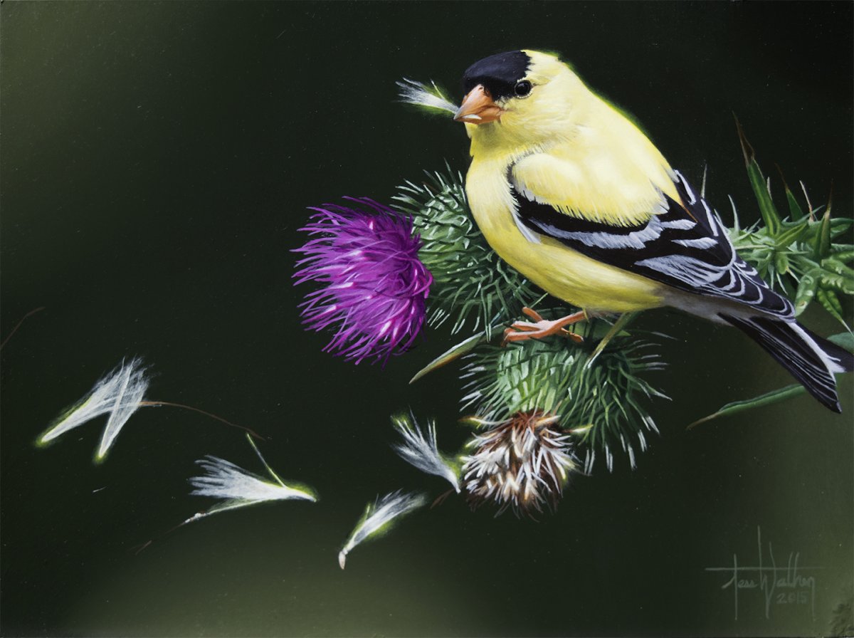 Репейник птица