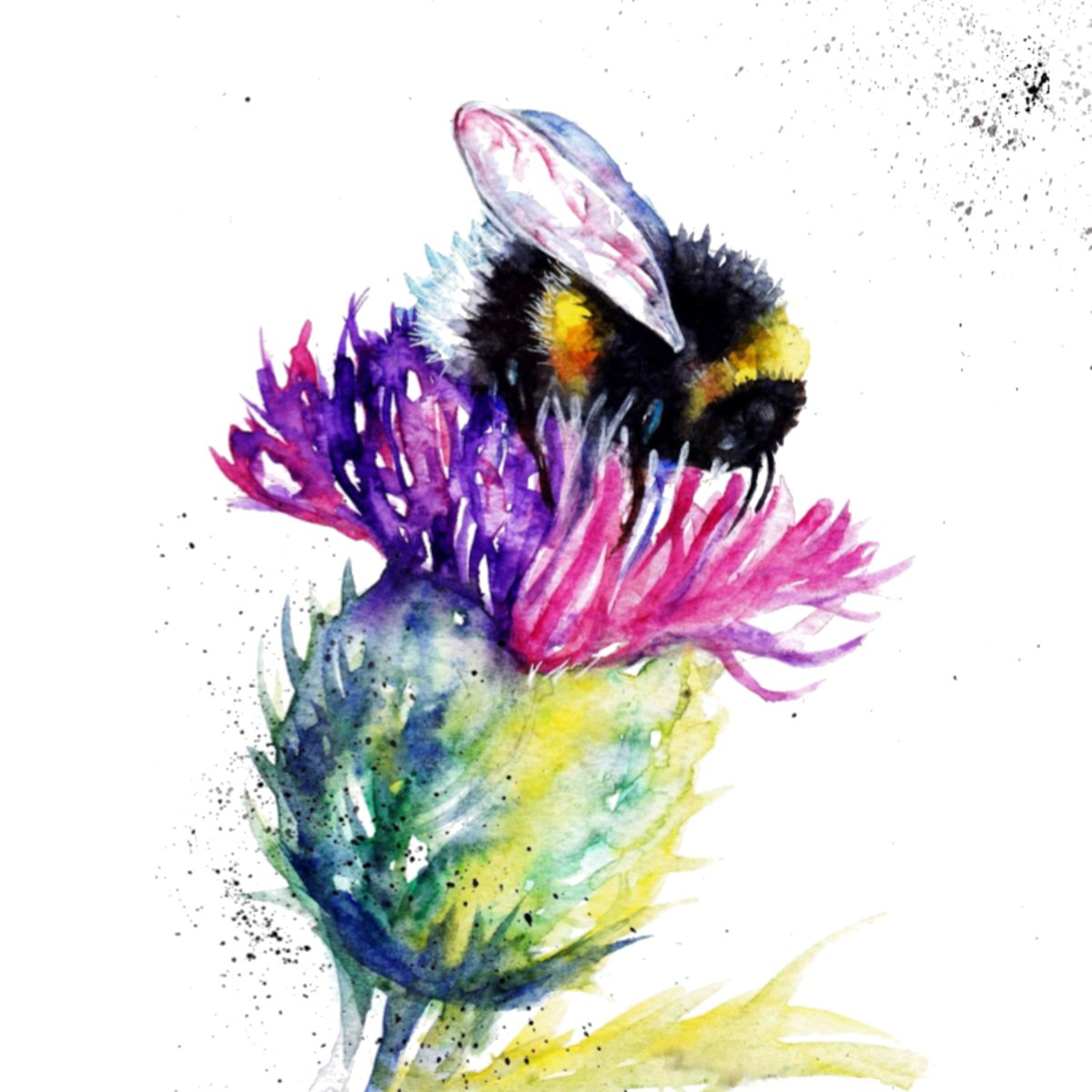 Шмель акварелью