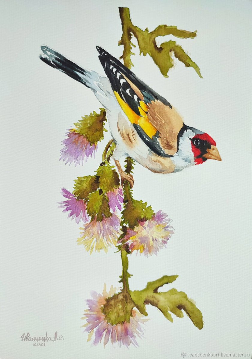 Птица щегол акварель