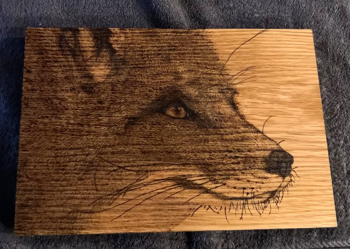 Красивые аватарки собак