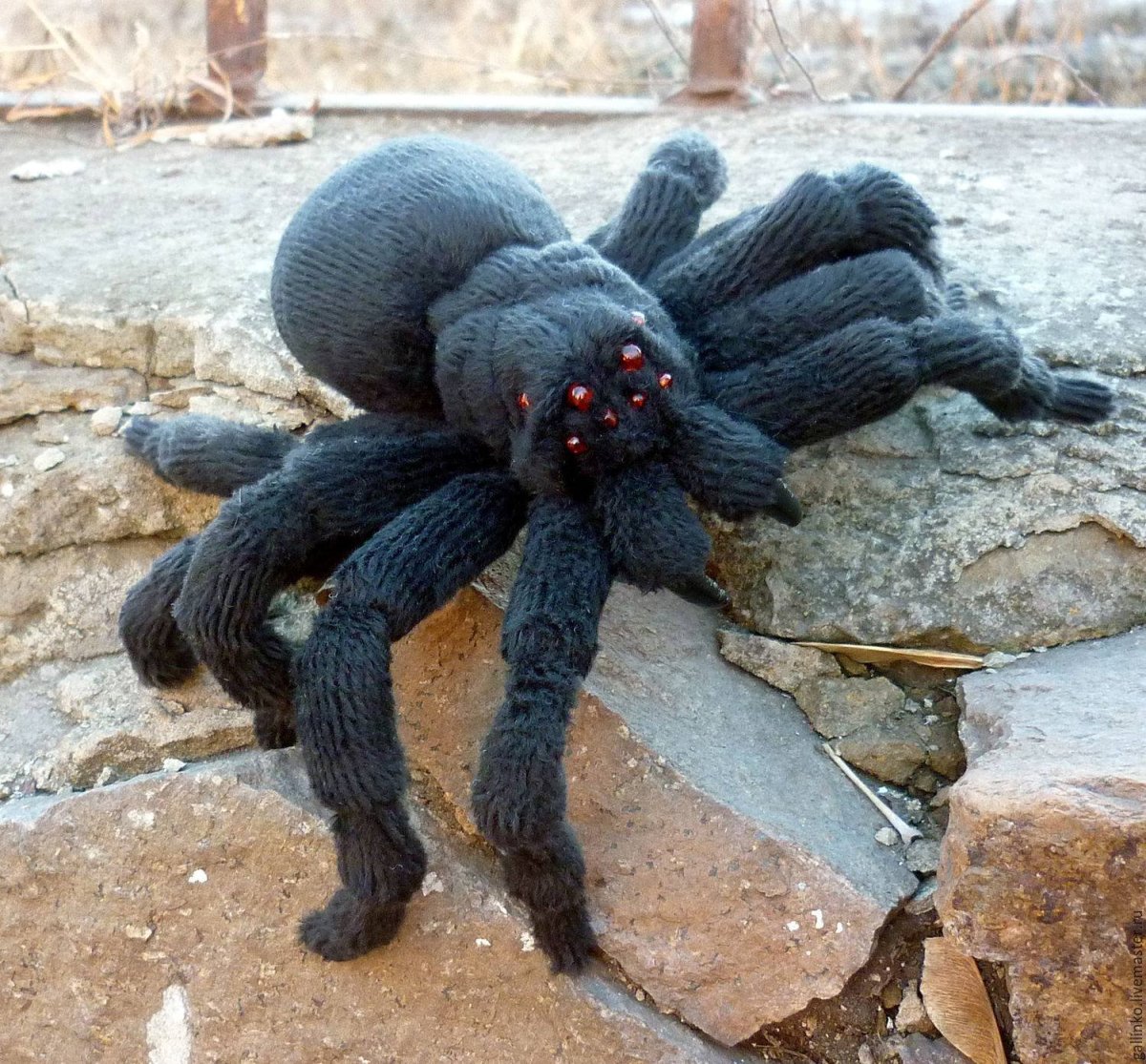 Членистоногие Стрекоза