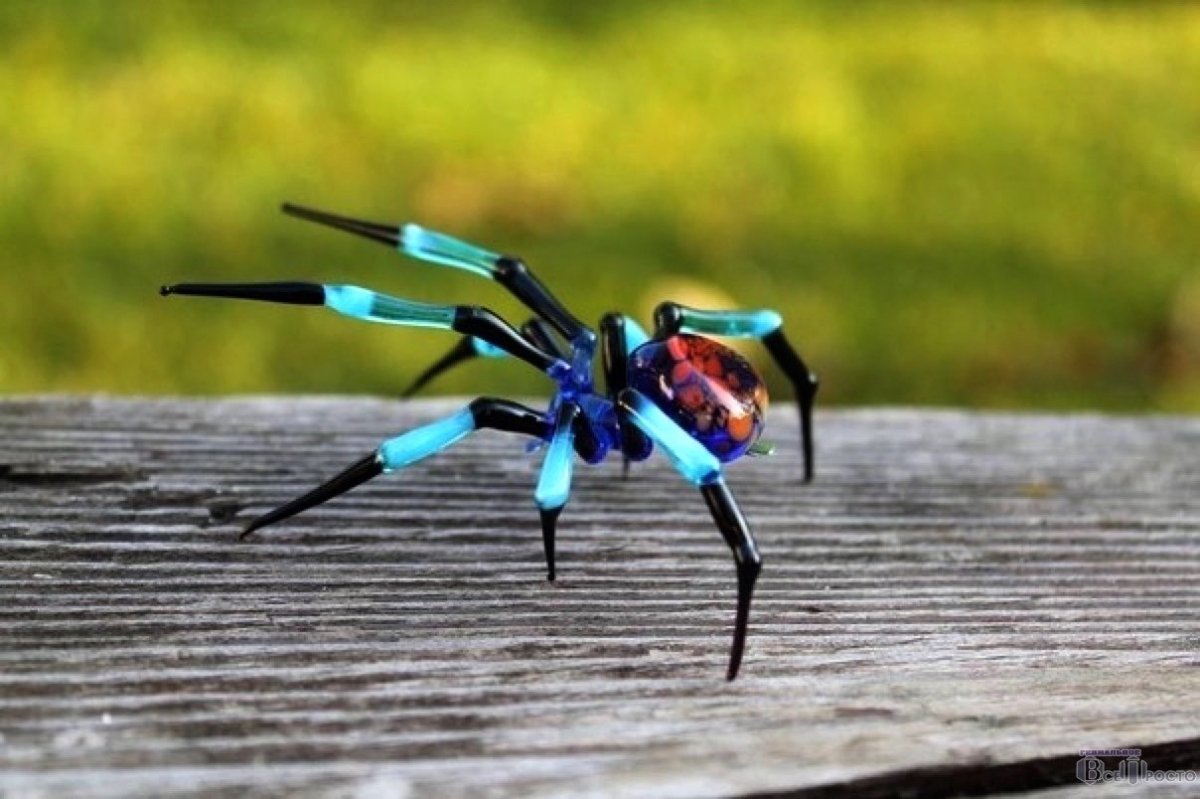 Вора паук трава