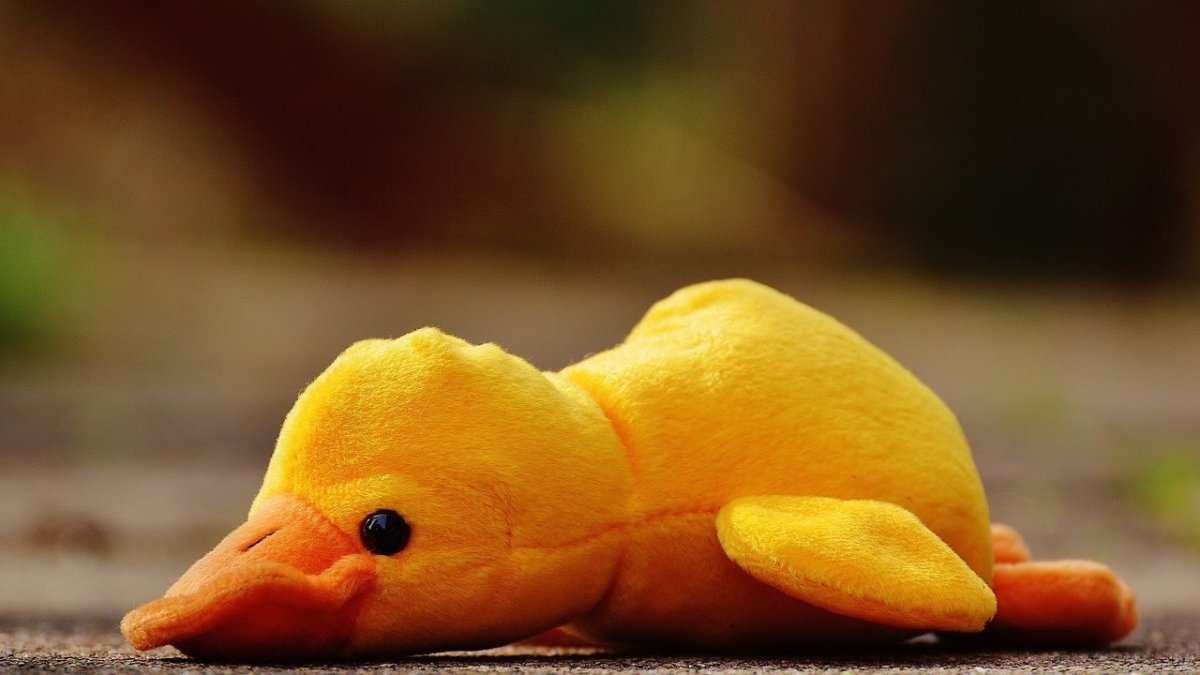 Грустные утки