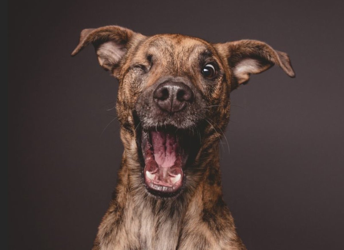 Elke Vogelsang фотограф