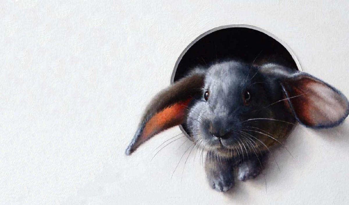 Рисунок крыски