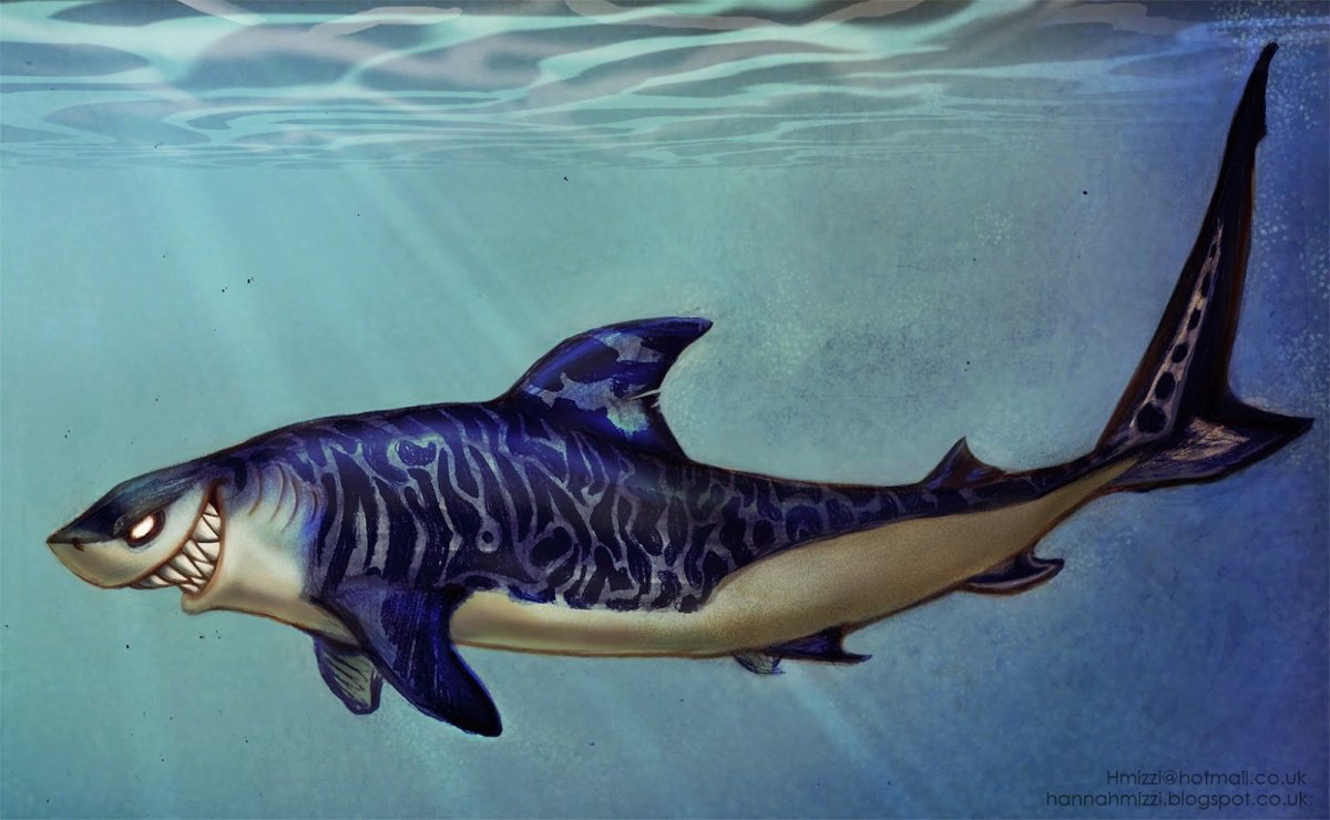 Хрящевые рыбы акула тигровая