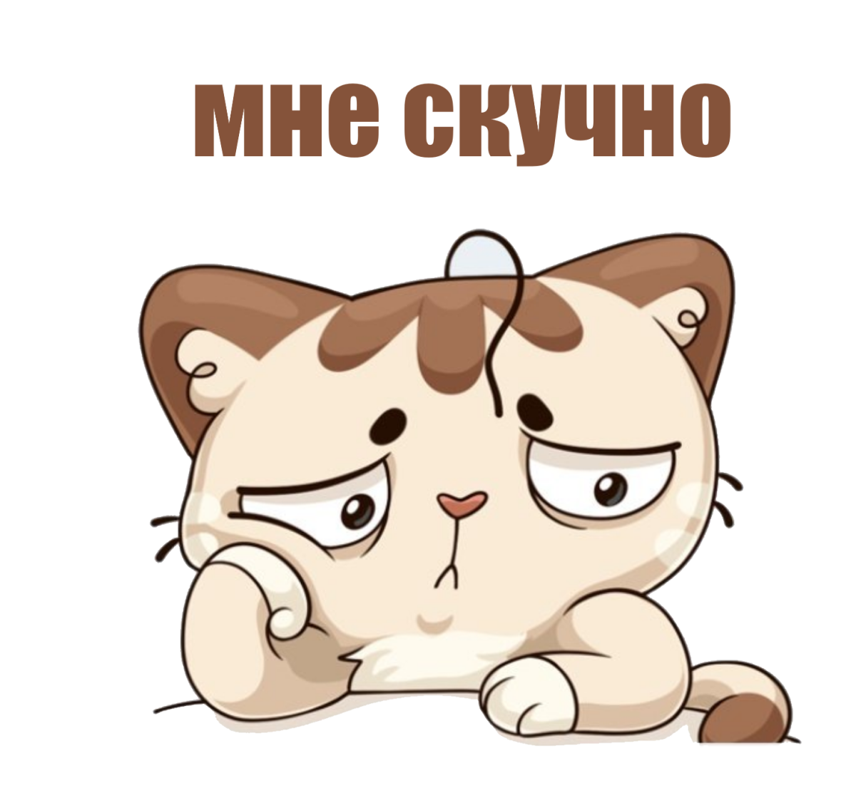 Грустный котик