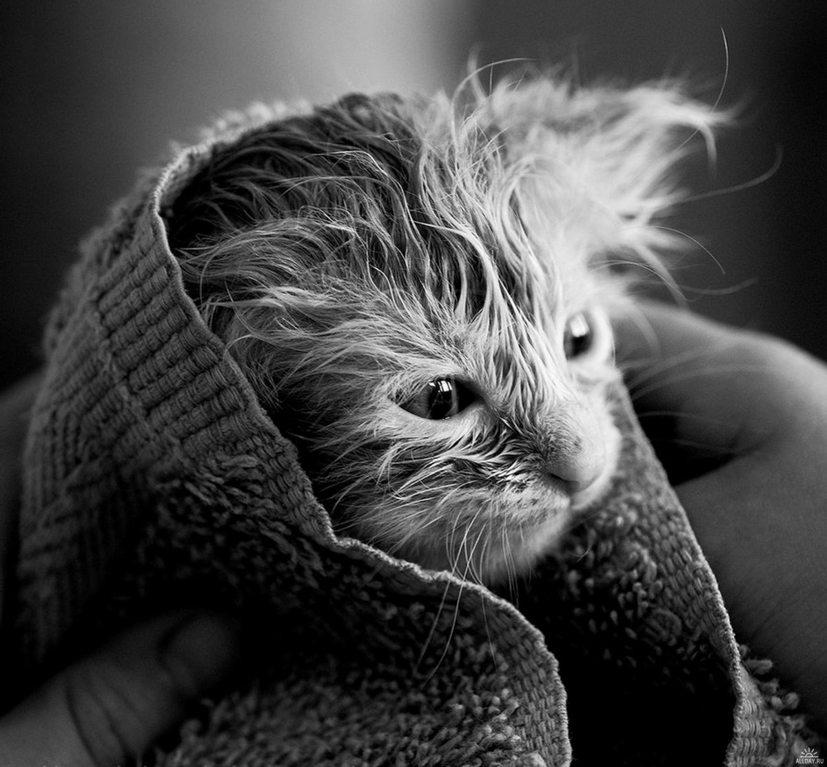 Фото грусть Стикеры