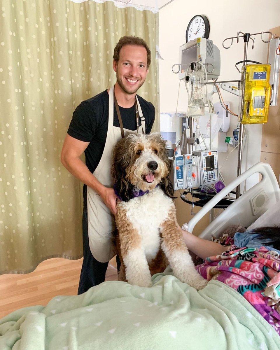 Паттердейл терьер с человеком