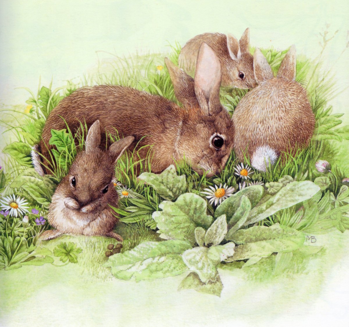 Марджолен Бастин Marjolein Bastin