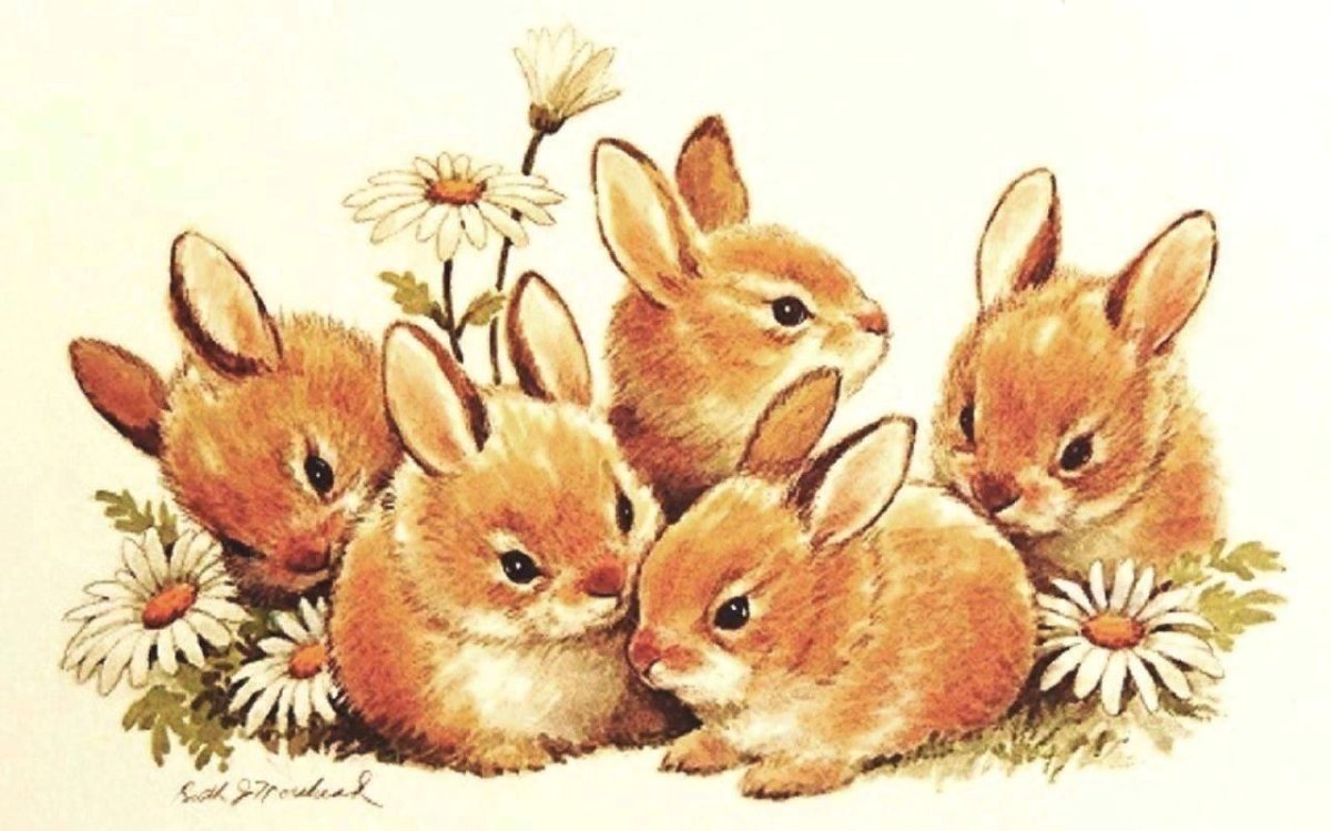 Волшебный заяц