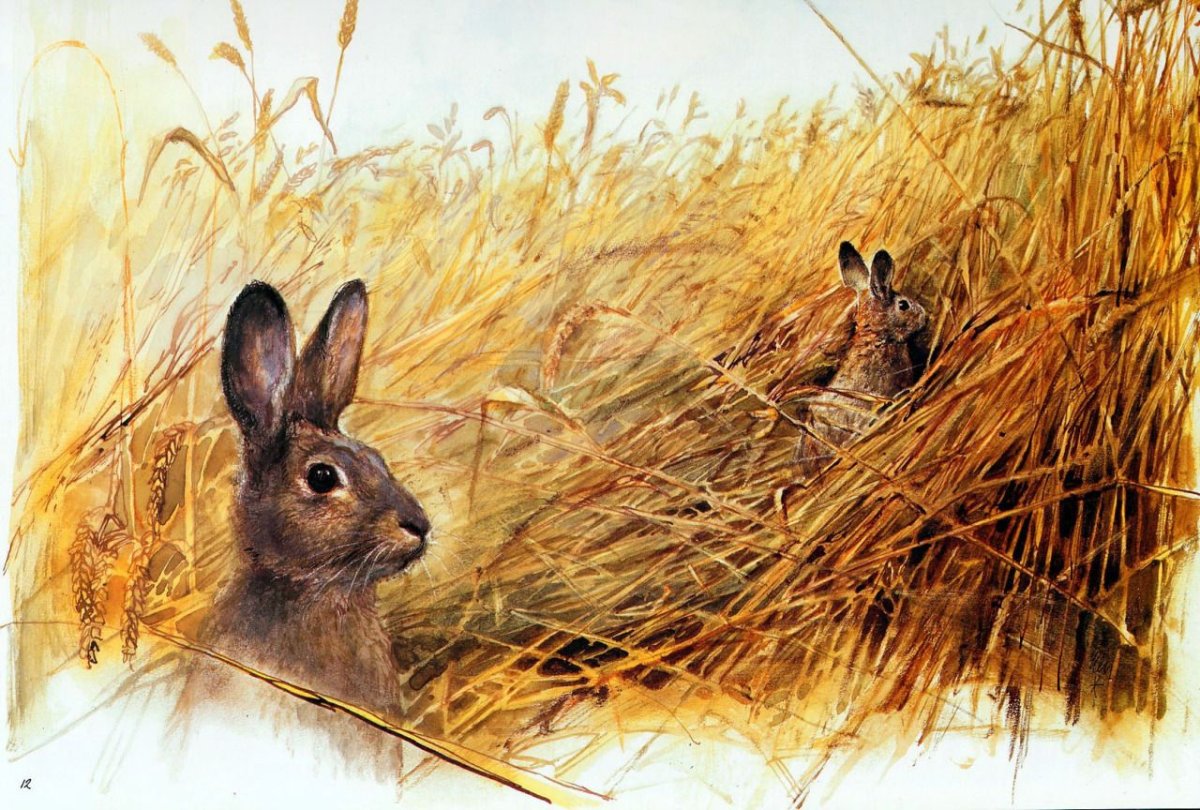 Листопадничек Соколов-Микитов