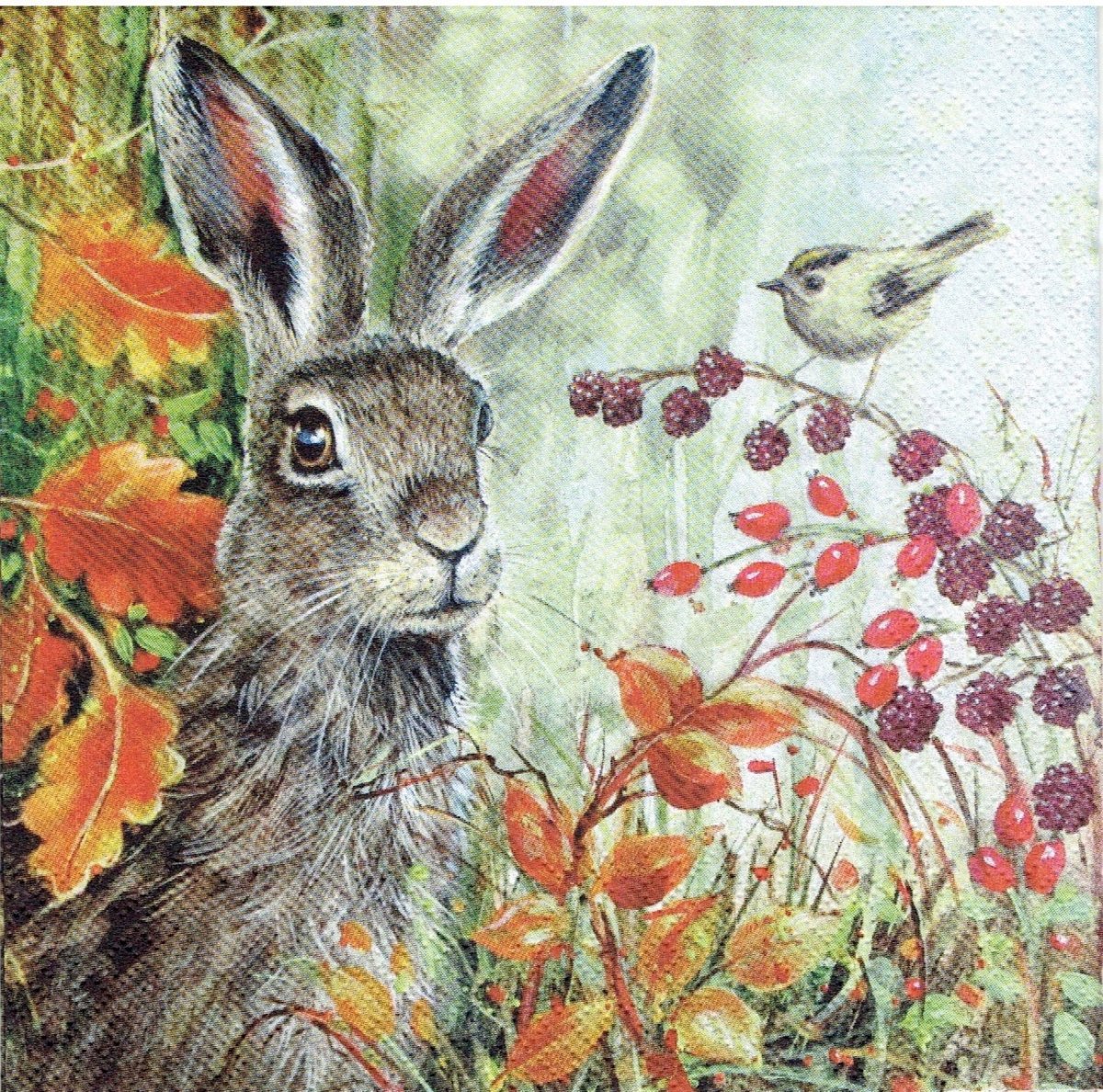 Заяц в лесу рисунок акварель