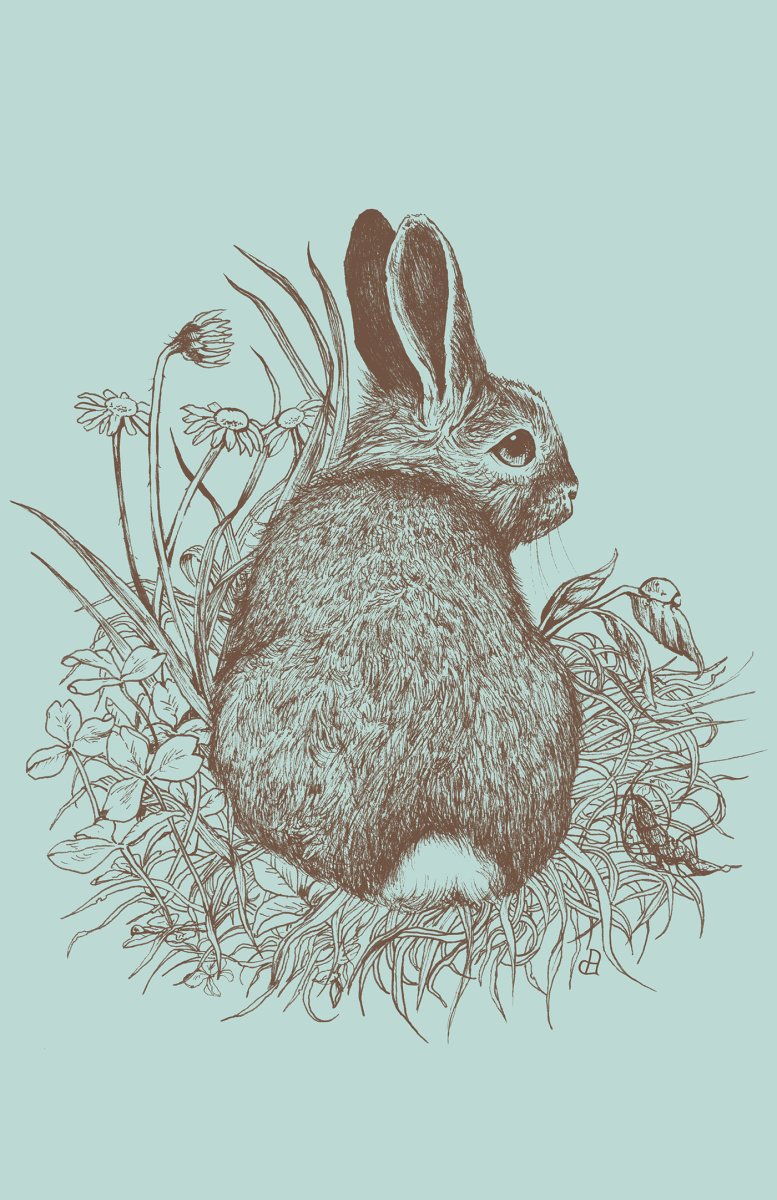 Таёжный заяц