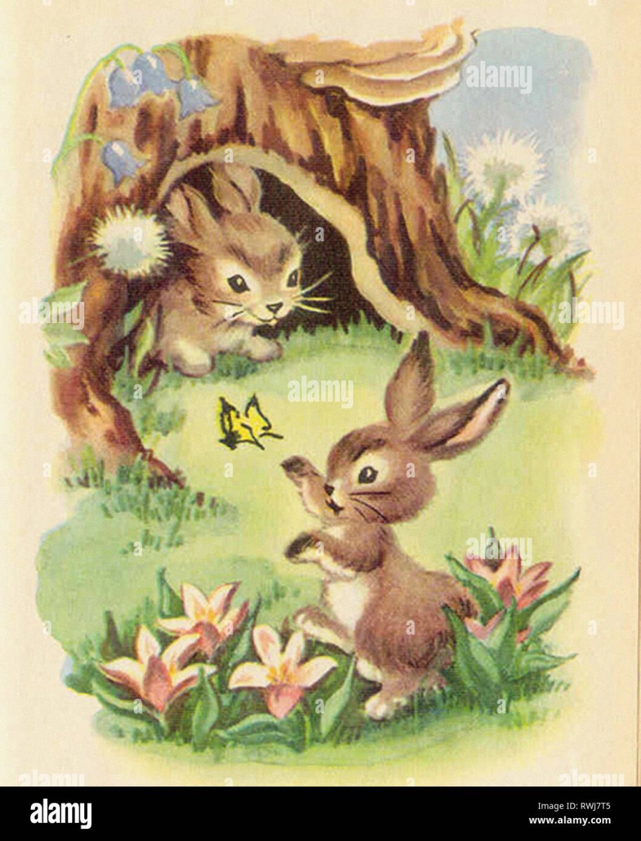 Заяц Русак осенью