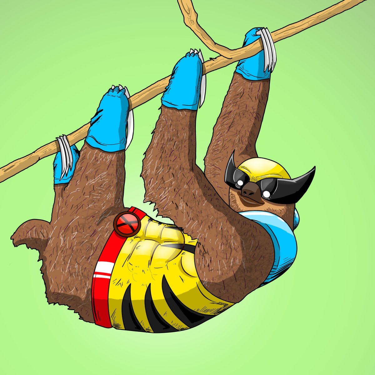 Ленивец Бразилия