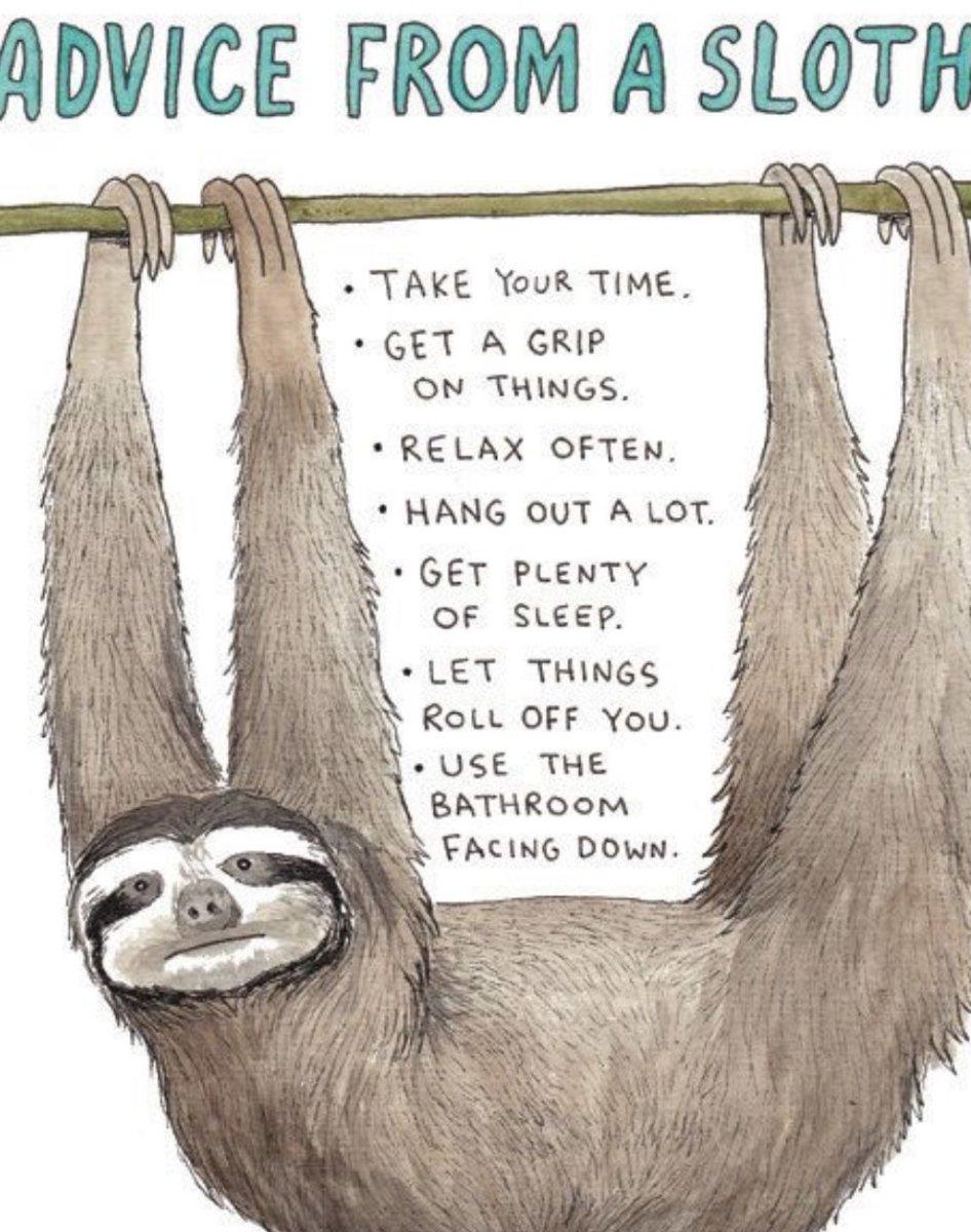 Ленивец и человек