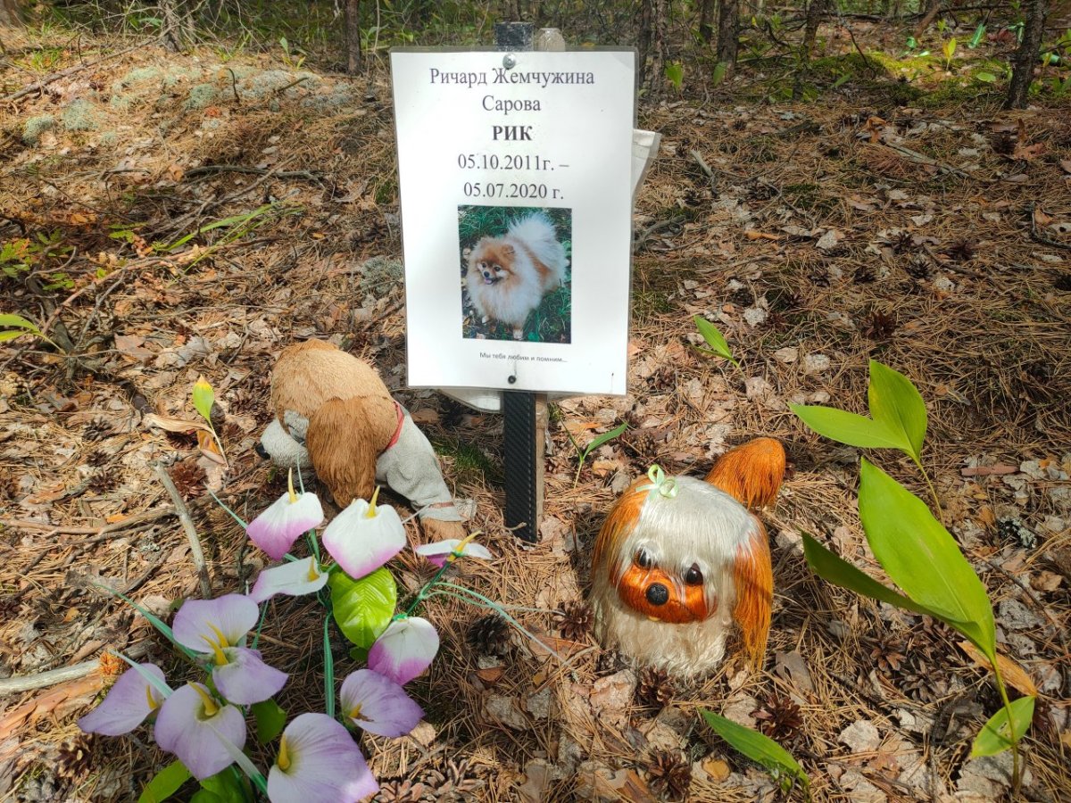 Кладбище домашних животных