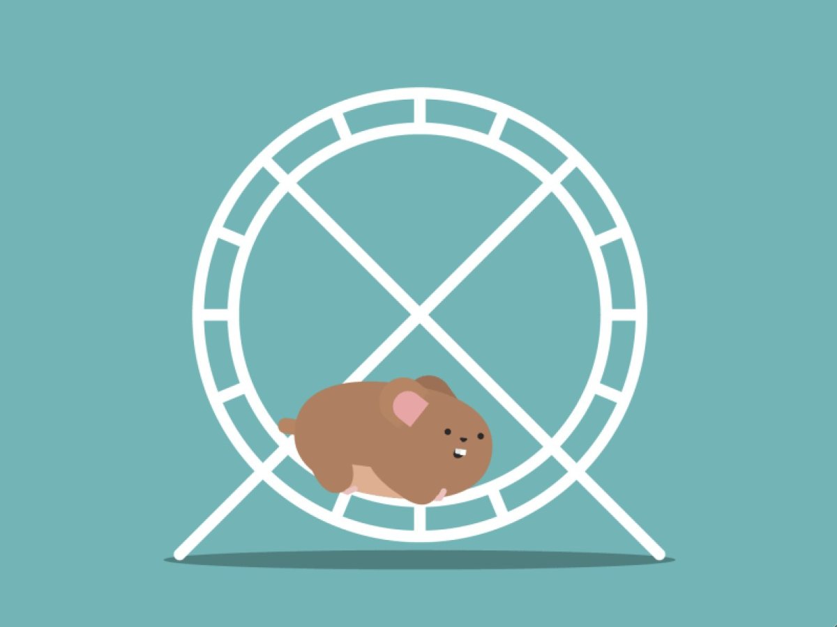 Колесо для хомяка