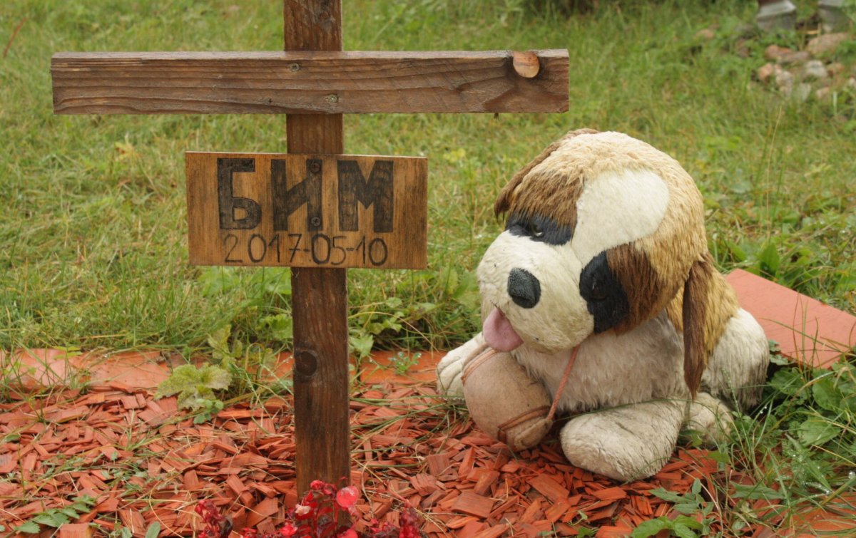 Захоронение животных с крестом