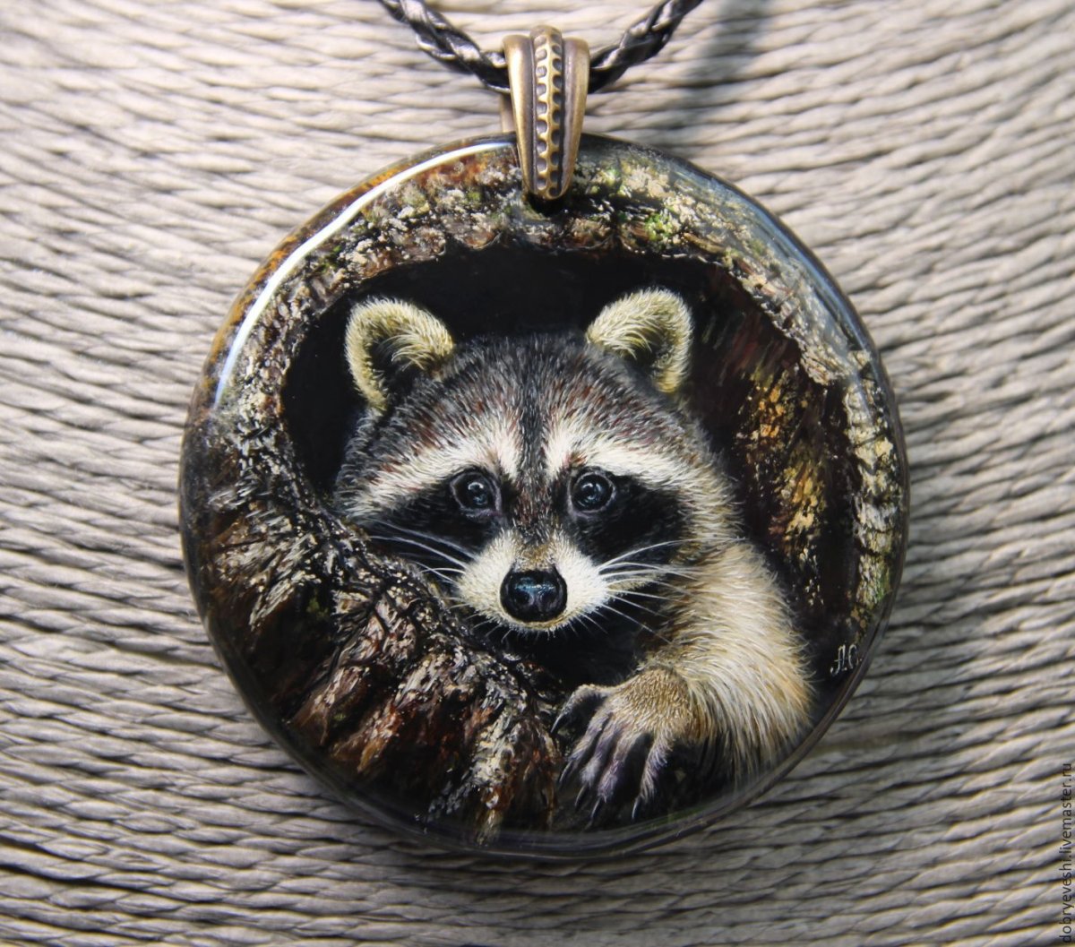 Енот полоскун референс