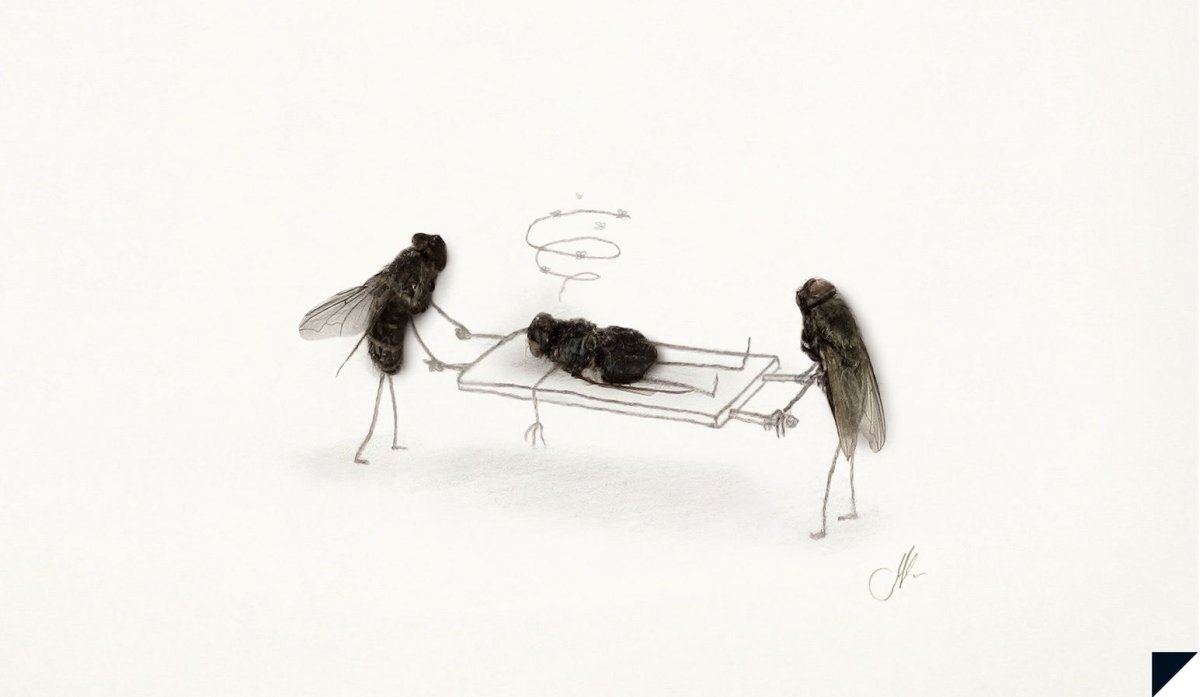 Дохлая Муха