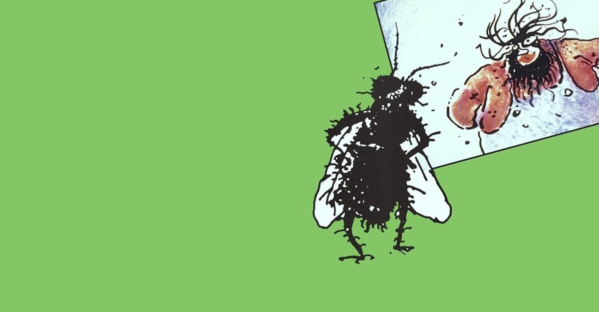 Злая Муха Графика