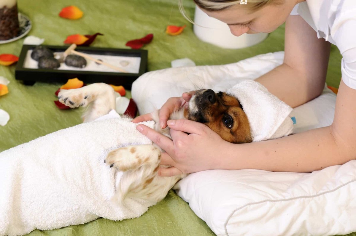 Котик в ванной