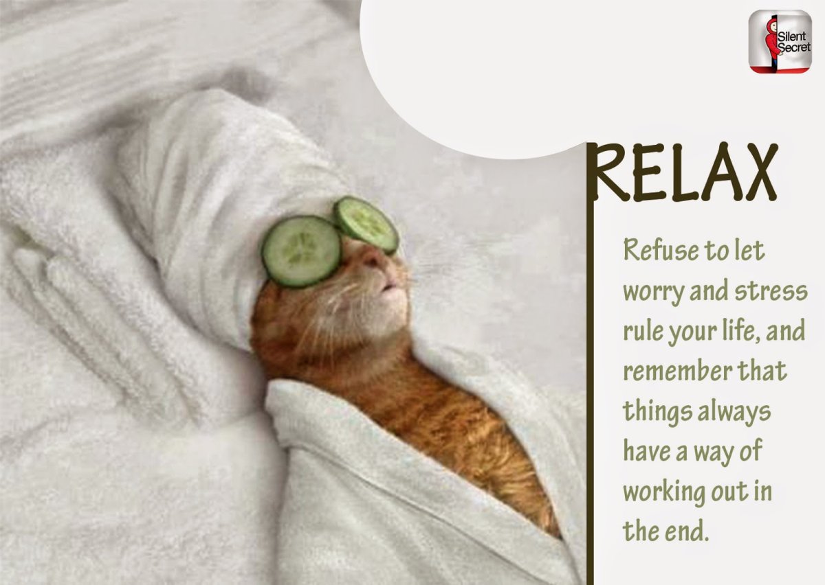 Ванна с котами