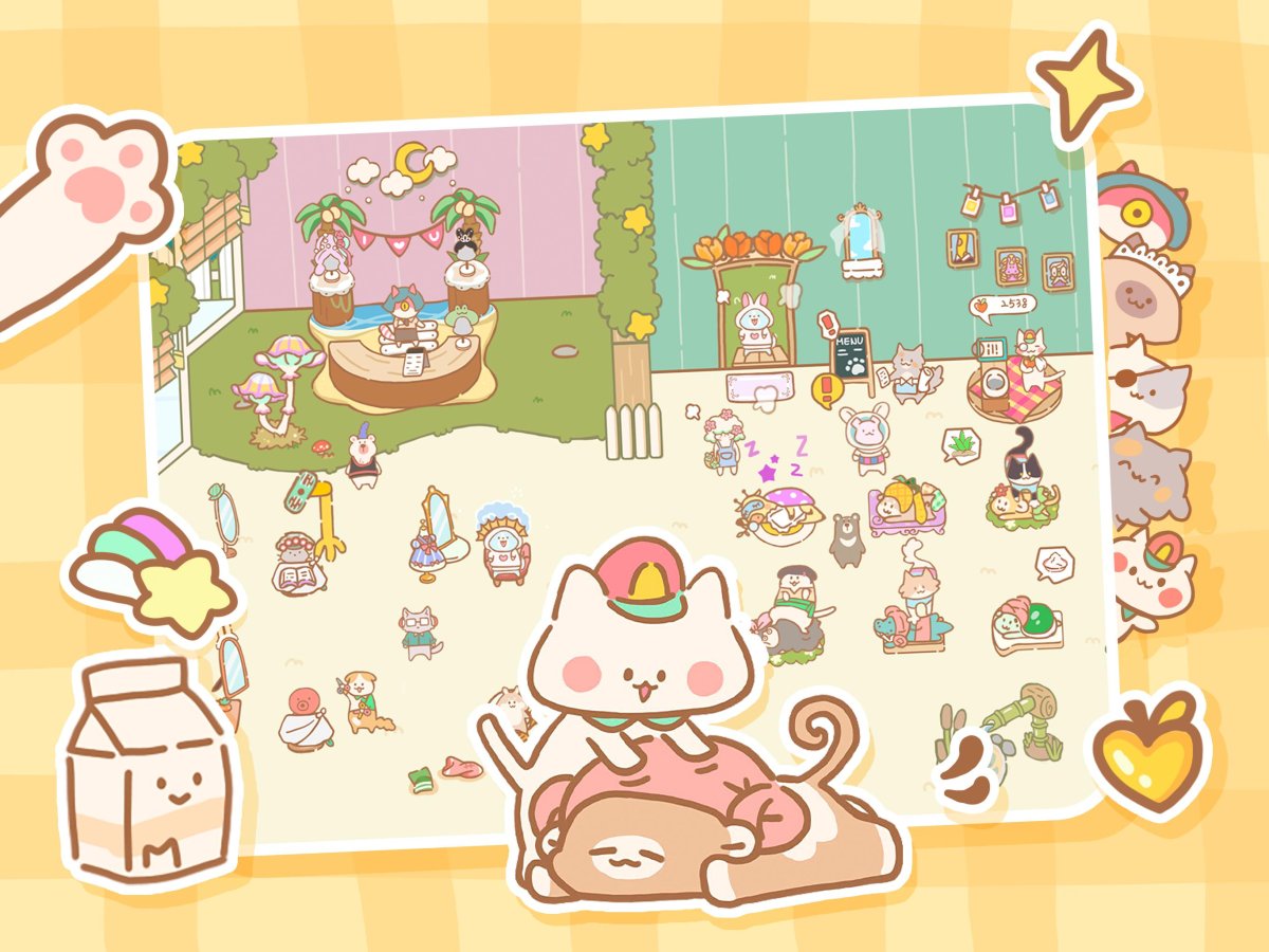 Кот в спа салоне