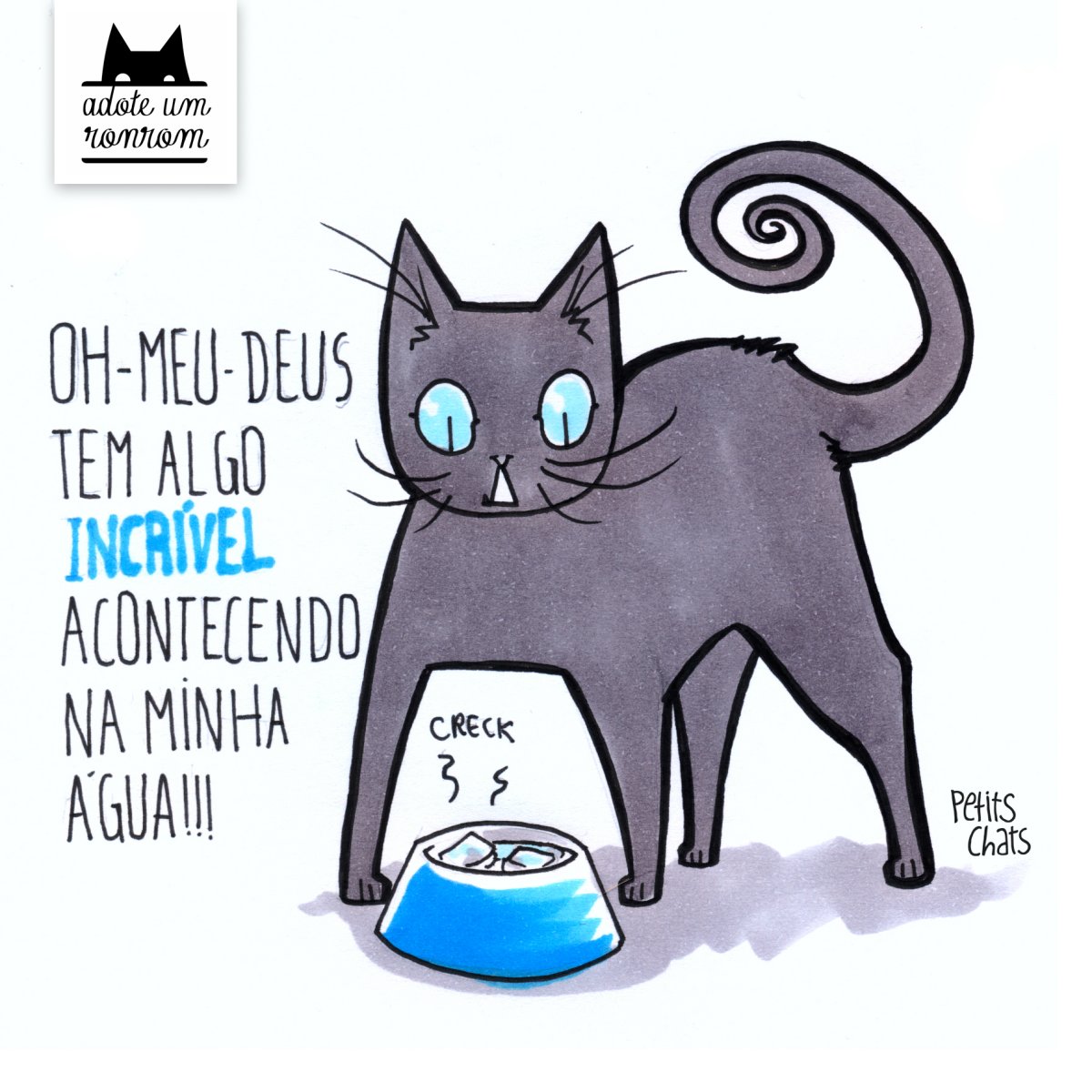 Кот с полотенцем на голове