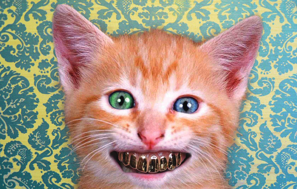 Кошка с человеческими зубами