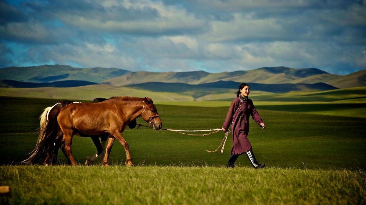Монгольская степь девушка на коне